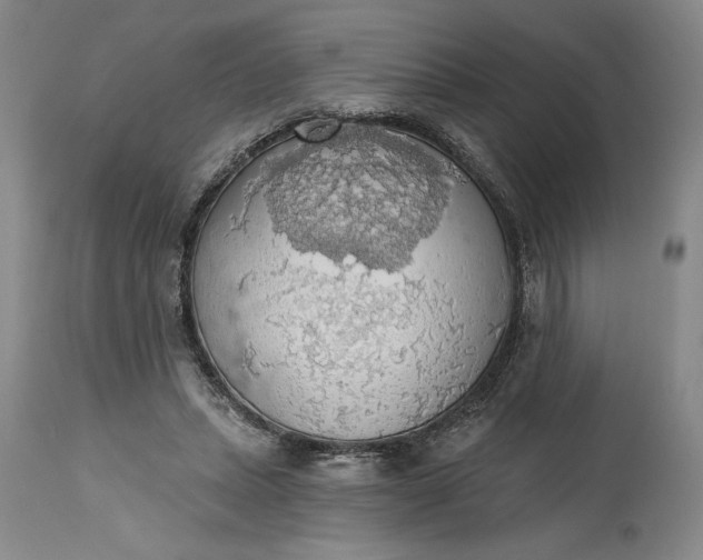 X0000115420447200911171427