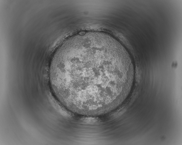 X0000115420449200911171427