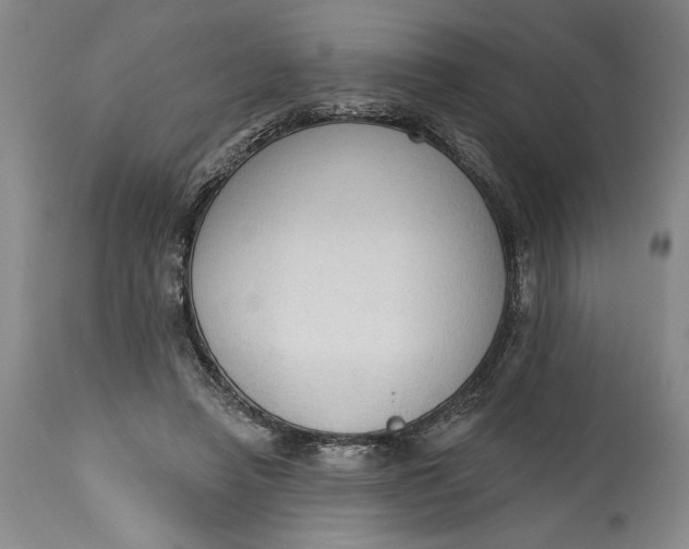 X0000115420450200911171427