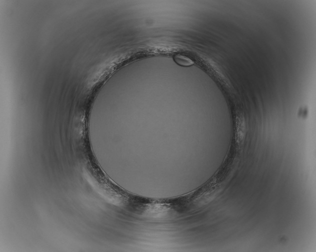 X0000115420451200911171427