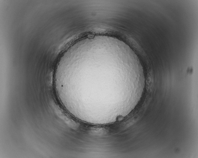 X0000115420454200911171427