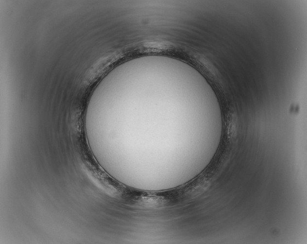 X0000115420455200911171427