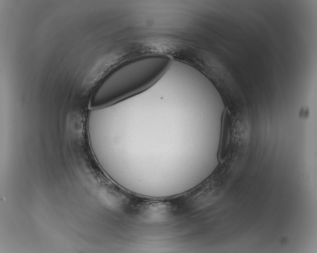 X0000115420456200911171427