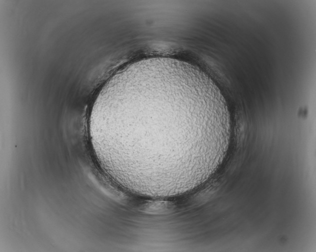 X0000115420459200911171427