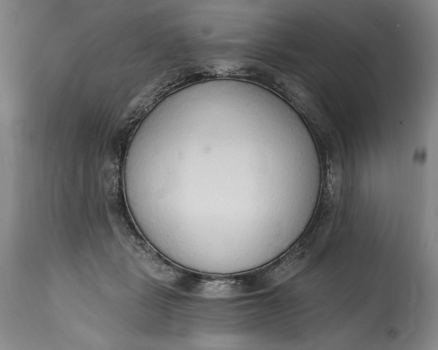 X0000115420461200911171427