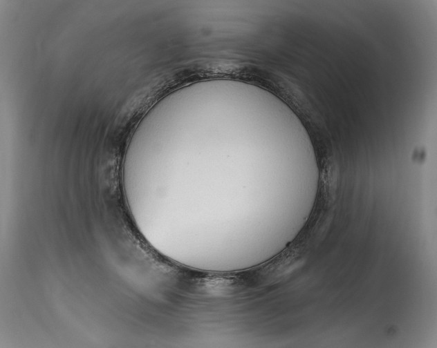 X0000115420462200911171427