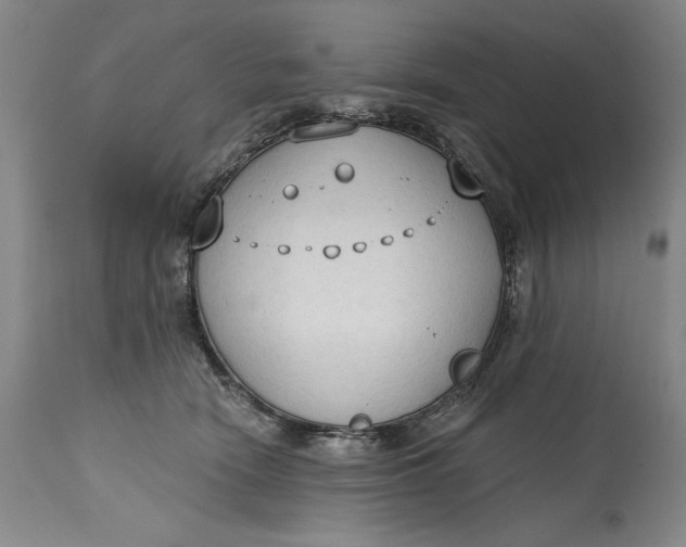 X0000115420466200911171427