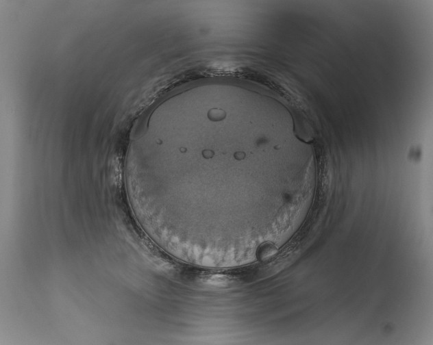 X0000115420467200911171427