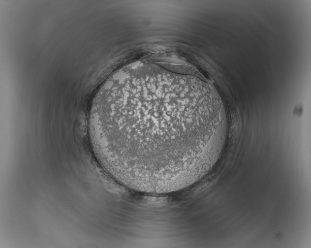 X0000115420469200911171427