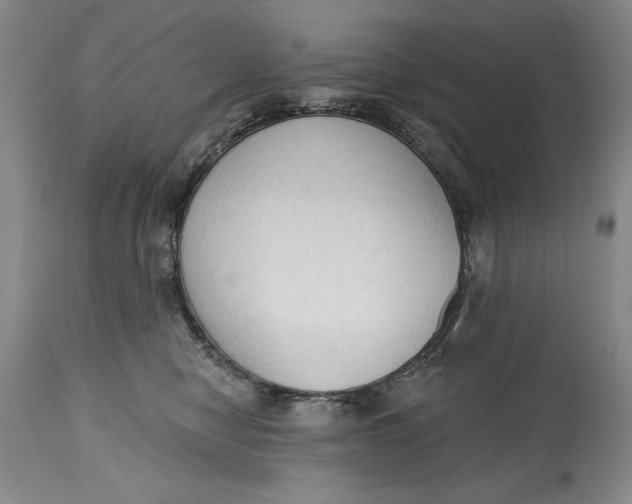 X0000115420470200911171427