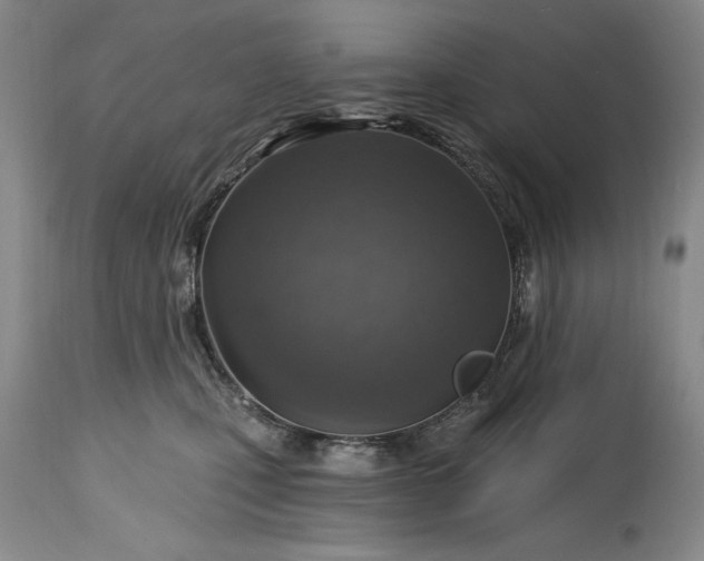 X0000115420471200911171427