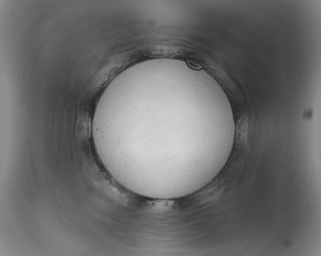 X0000115420474200911171427