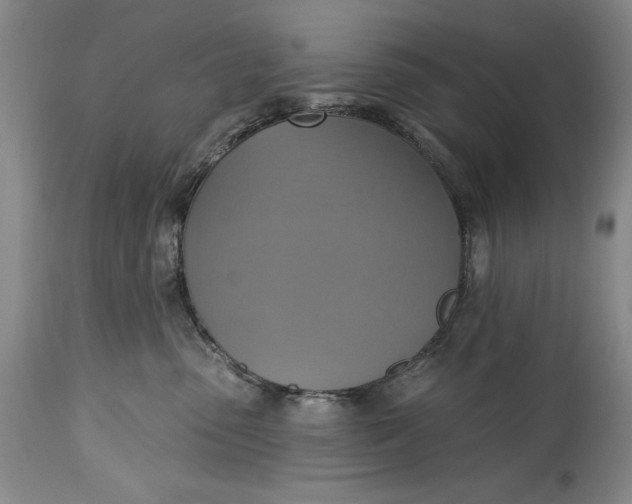 X0000115420475200911171427