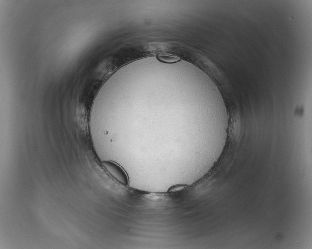 X0000115420477200911171427