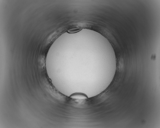 X0000115420478200911171427