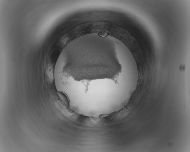 X0000115420479200911171427