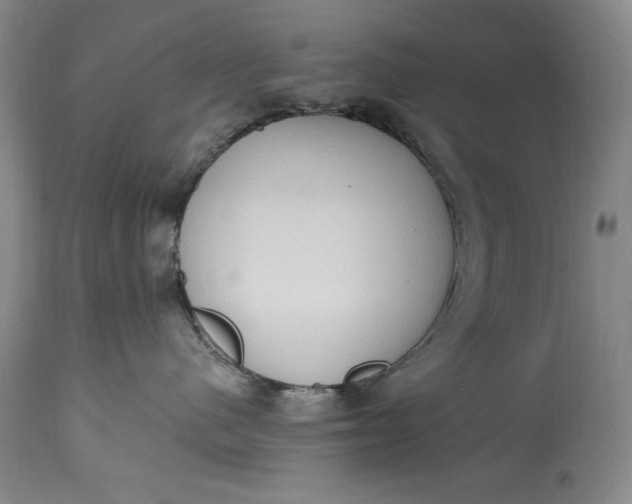 X0000115420480200911171427