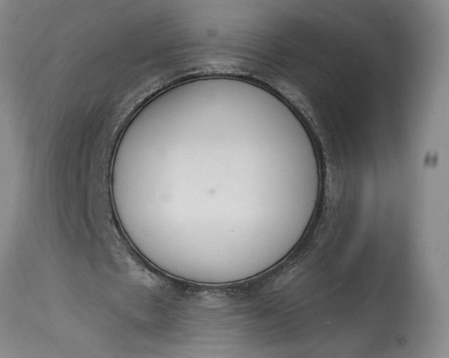 X0000115420481200911171426