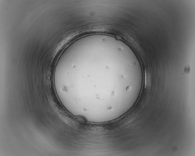 X0000115420483200911171426