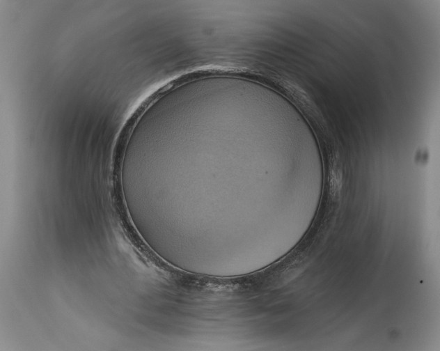 X0000115420484200911171426