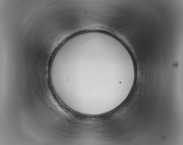 X0000115420485200911171426