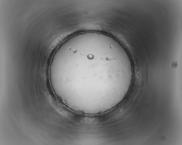X0000115420487200911171426