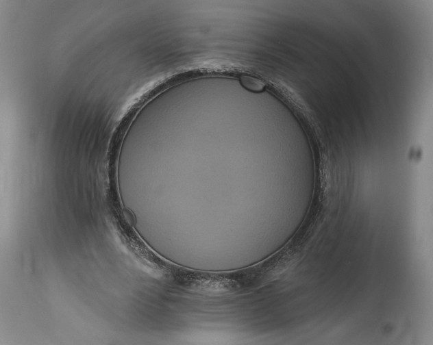 X0000115420488200911171426