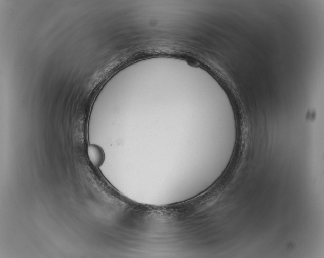 X0000115420489200911171426