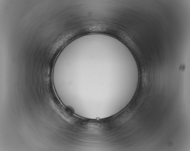 X0000115420490200911171426