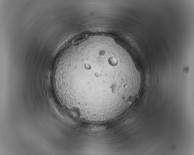X0000115420491200911171426
