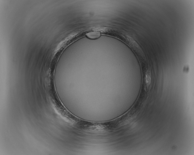 X0000115420492200911171426