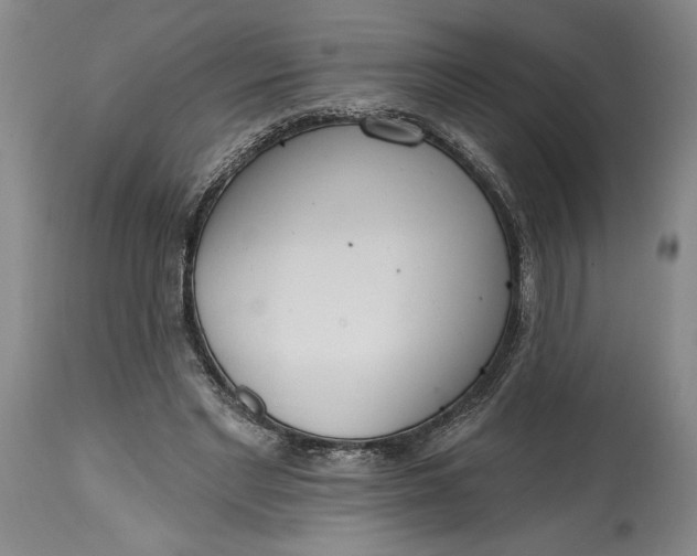 X0000115420493200911171426