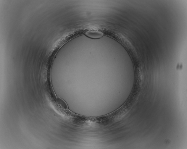 X0000115420496200911171426