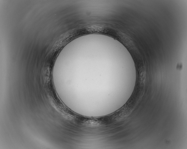 X0000115420498200911171426