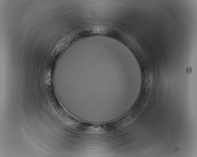 X0000115420502200911171426