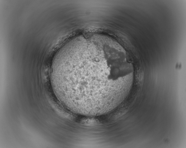 X0000115420503200911171426