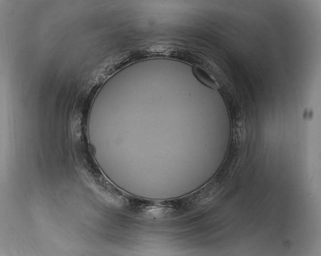 X0000115420504200911171426