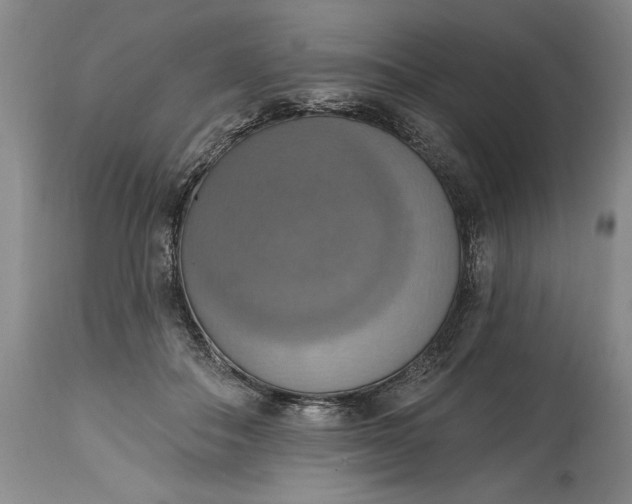 X0000115420506200911171426