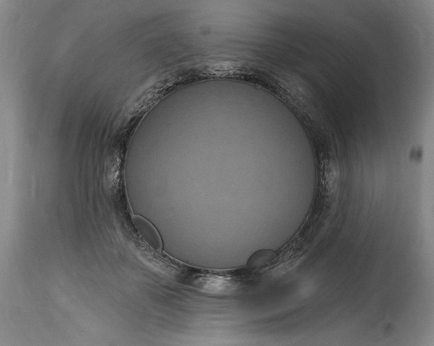 X0000115420507200911171426