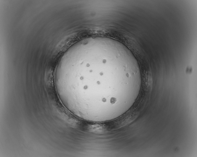 X0000115420511200911171426