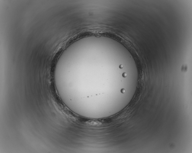 X0000115420512200911171426