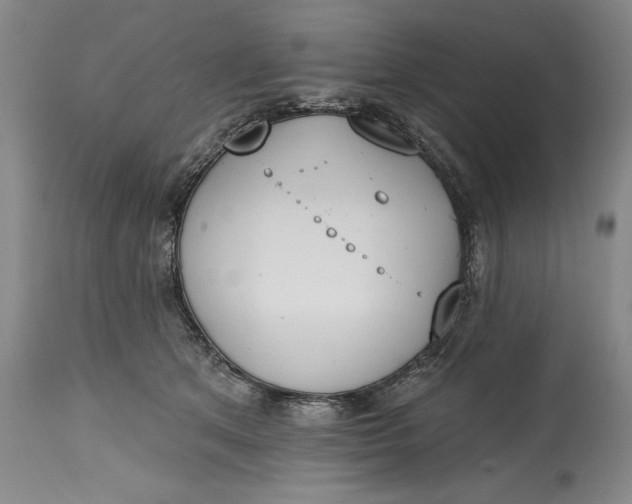 X0000115420513200911171426