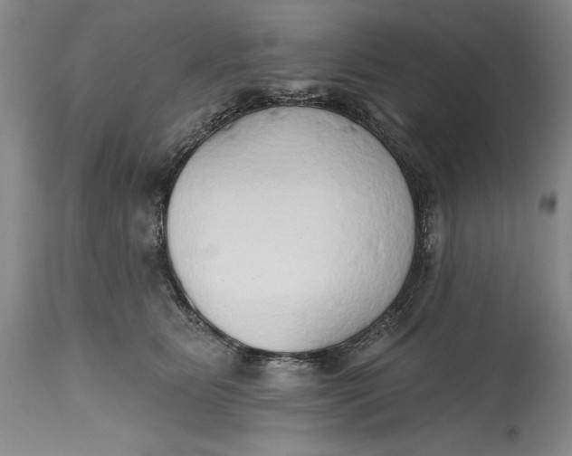 X0000115420515200911171426