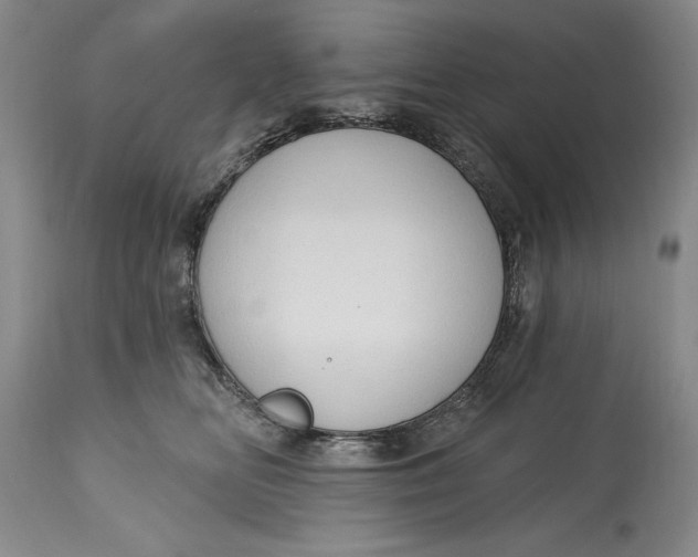 X0000115420518200911171426