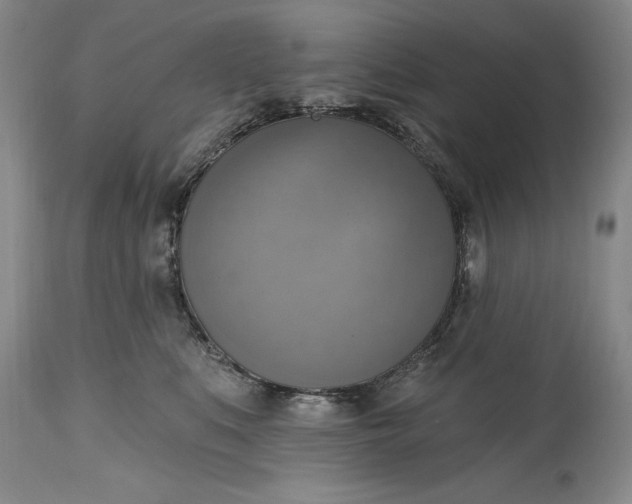 X0000115420519200911171426