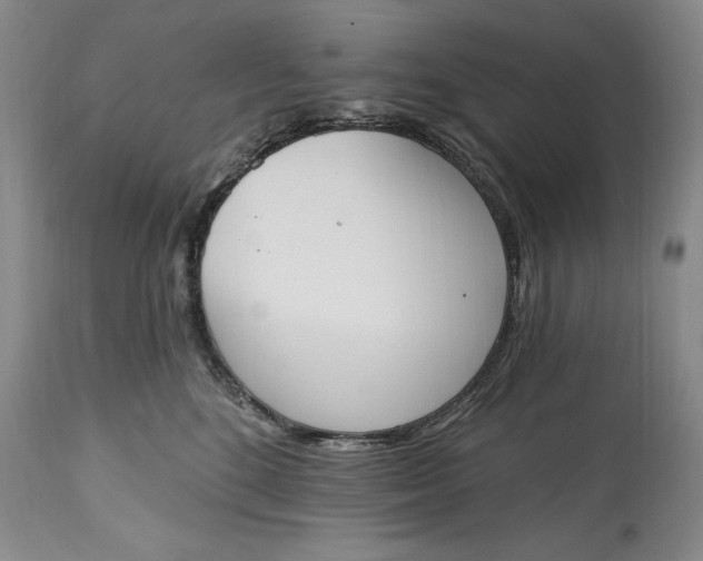 X0000115420520200911171426