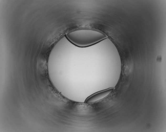 X0000115420521200911171426