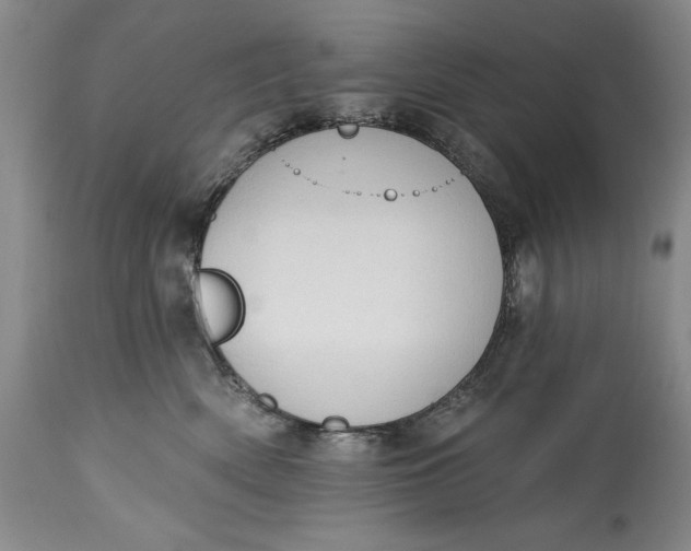 X0000115420522200911171426