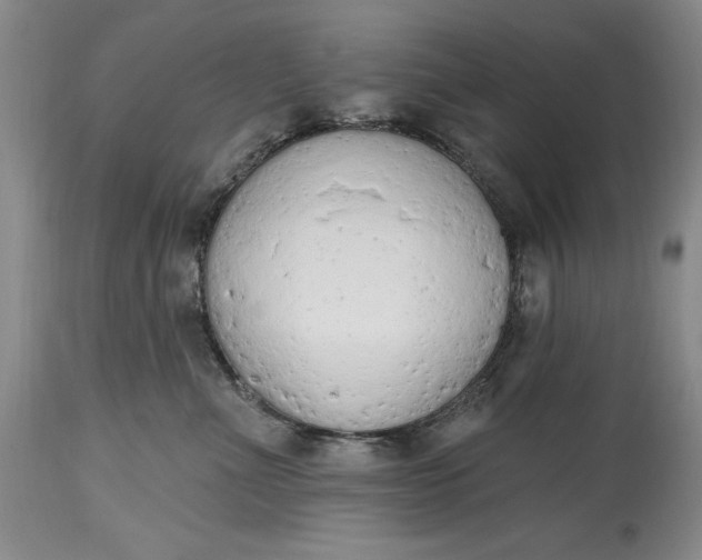X0000115420523200911171426