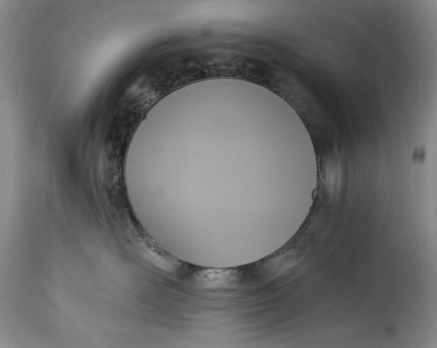X0000115420526200911171426